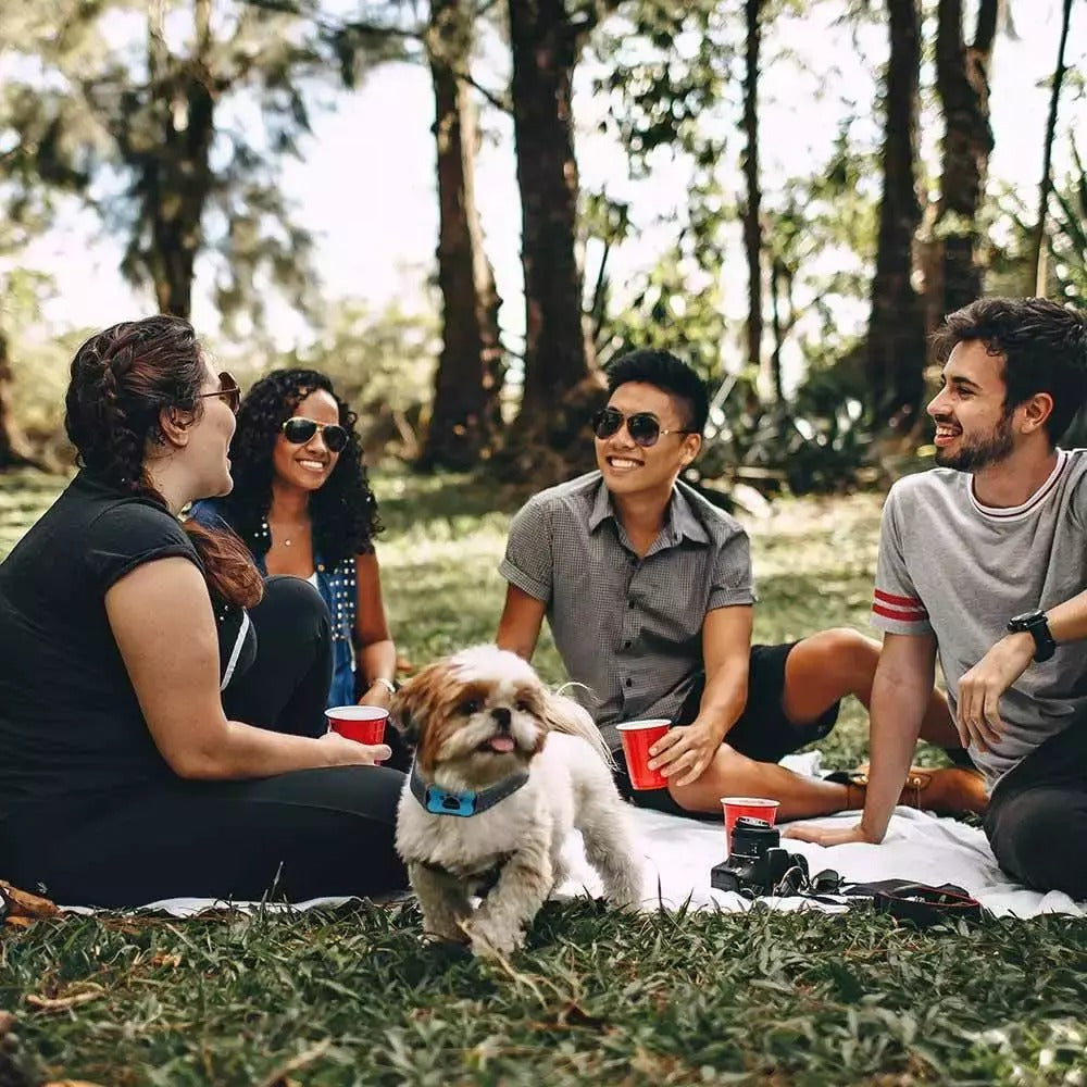 Anti-skällhalsband för hund — Mjuk och effektiv träning