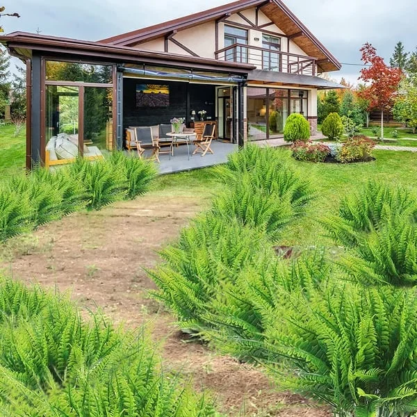 שרך דקורטיבי מלאכותי – מראה ריאליסטי ועמידות ארוכה