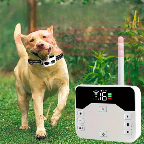 Wireless Fence With Training Collar – Safety And Education For Dogs