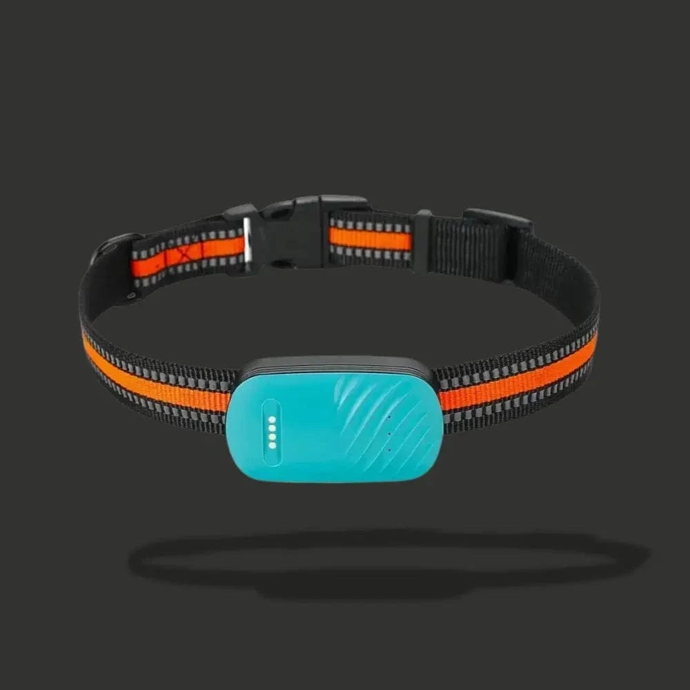 Culoare GPS pentru Pisici – Localizare și Confort Zilnic 