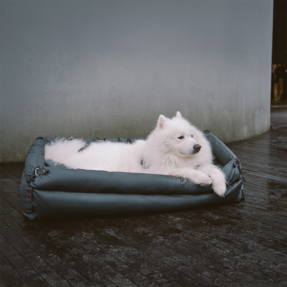 Hundbilsstol – Komfort och Skydd 