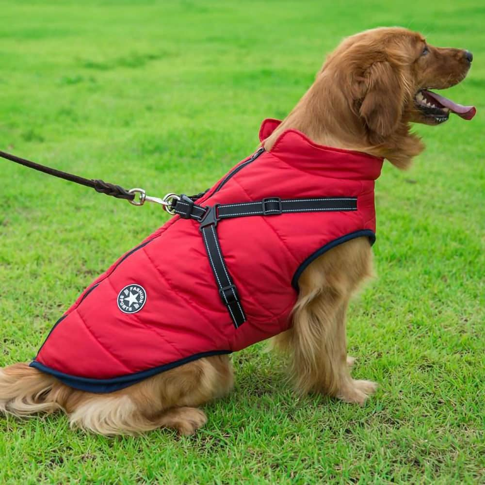 DoggieJacket ™