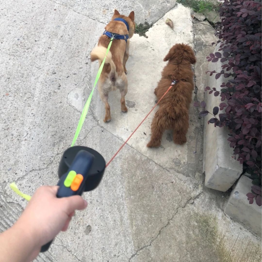 רצועת כלבים מתקפלת – עם פנס LED ומפיץ שקיות 