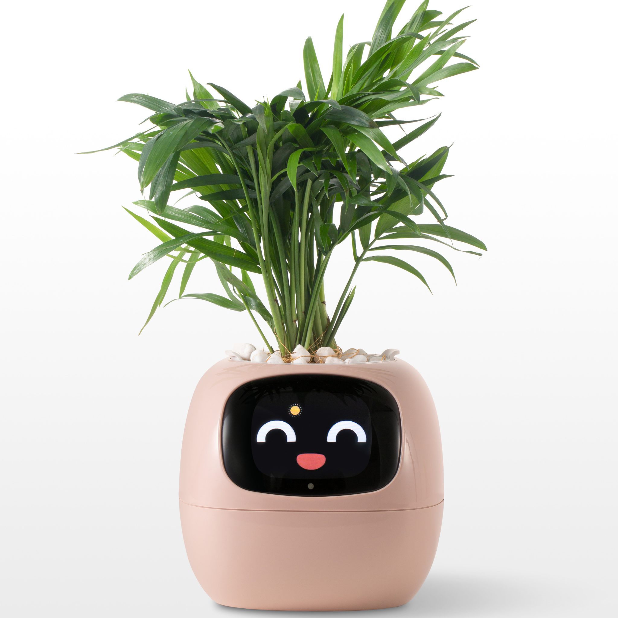 Emoji Blomkruka – Original och Rolig Dekoration 