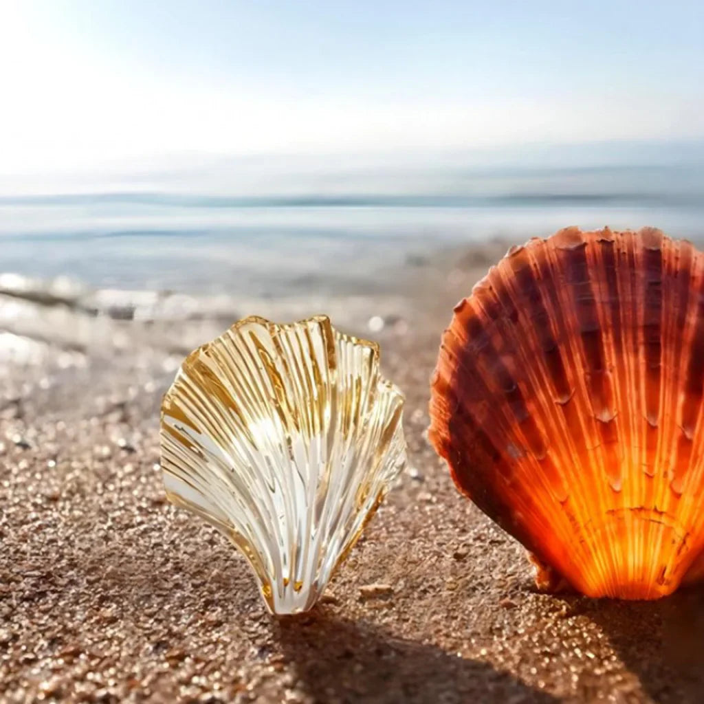 Vägglampa Snäcka – Elegant Och Marin Belysning 