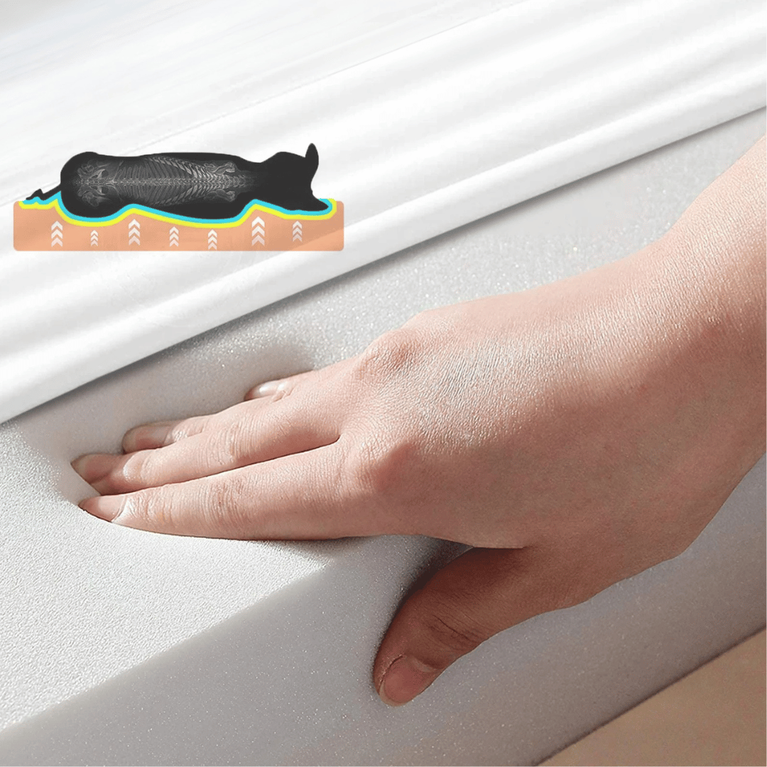 מיטה נוחה לכלב – אידיאל למנוחה ולשיקום 