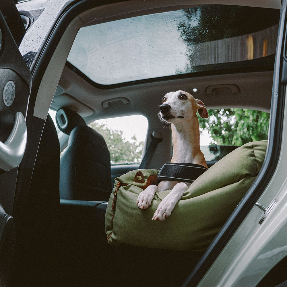 Hundbilsstol – Komfort och Skydd 