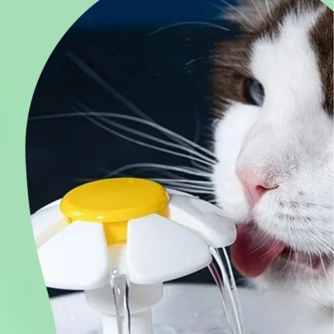 Cat Water Fountain — Continuous Hydration And Always Fresh Water 