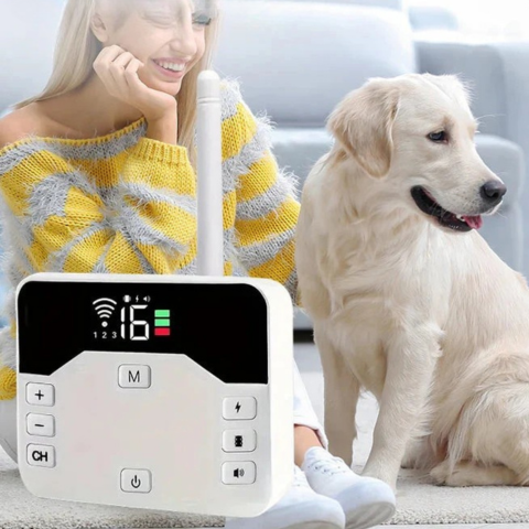 Wireless Fence With Training Collar – Safety And Education For Dogs 