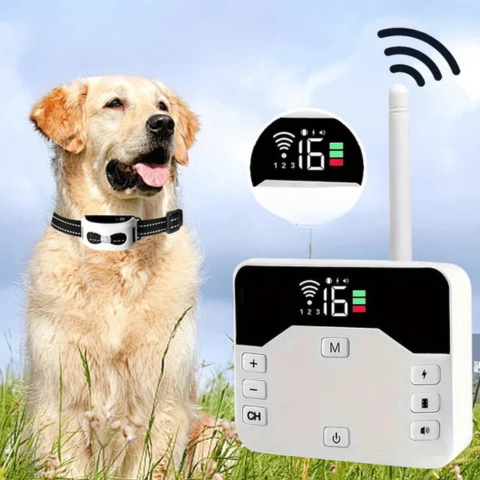 Wireless Fence With Training Collar – Safety And Education For Dogs 