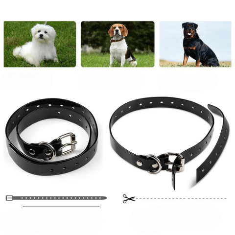 Κολάρο Εκπαίδευσης Τηλεκατευθυνόμενο – Εμβέλεια 800 μ, Αδιάβροχο και Επαναφορτιζόμενο 