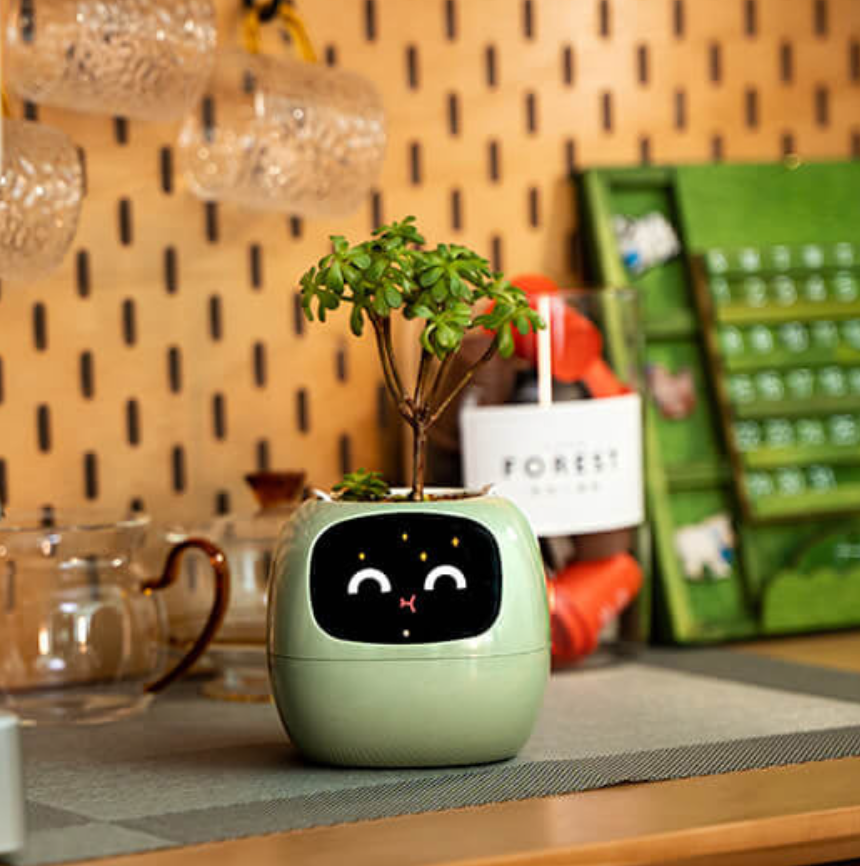 Emoji Blomkruka – Original och Rolig Dekoration 