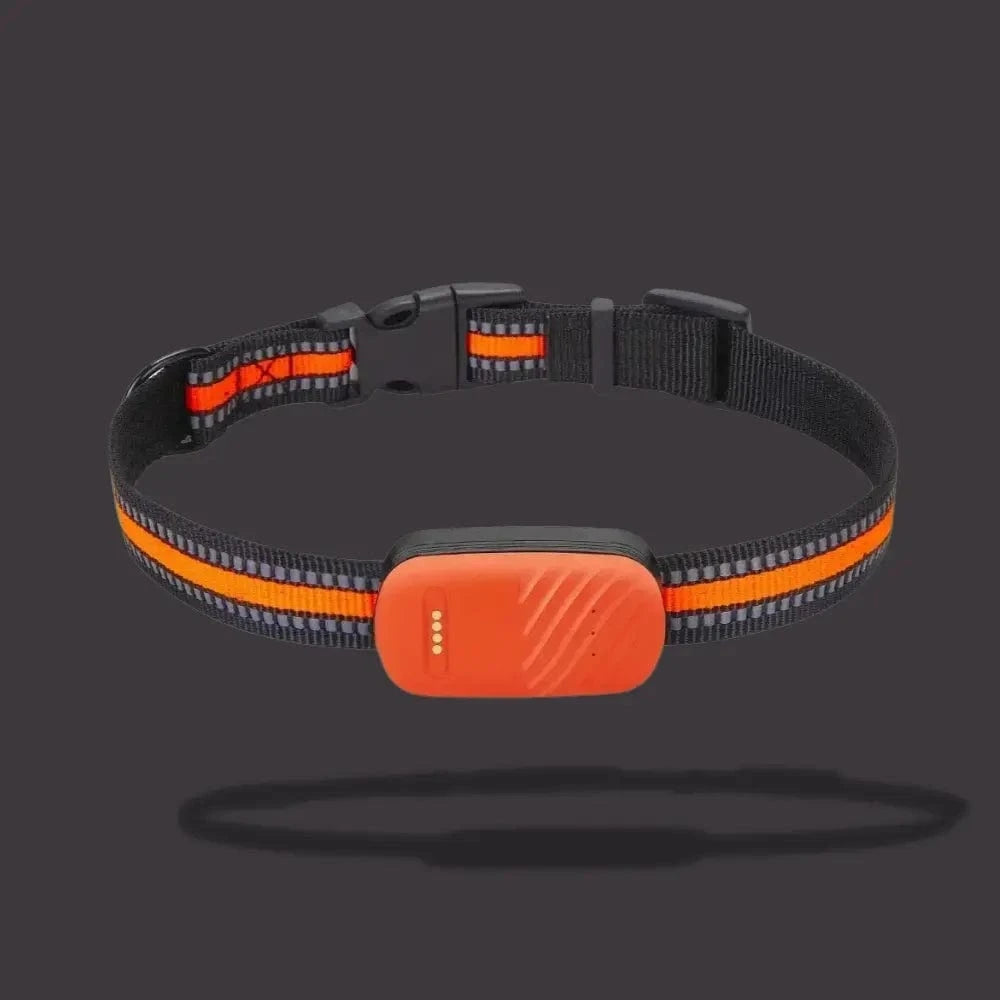 GPS Sporingshalsbånd for Katt – Lokalisering og Daglig Komfort 