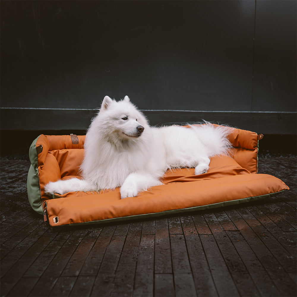 Hundbilsstol – Komfort och Skydd 