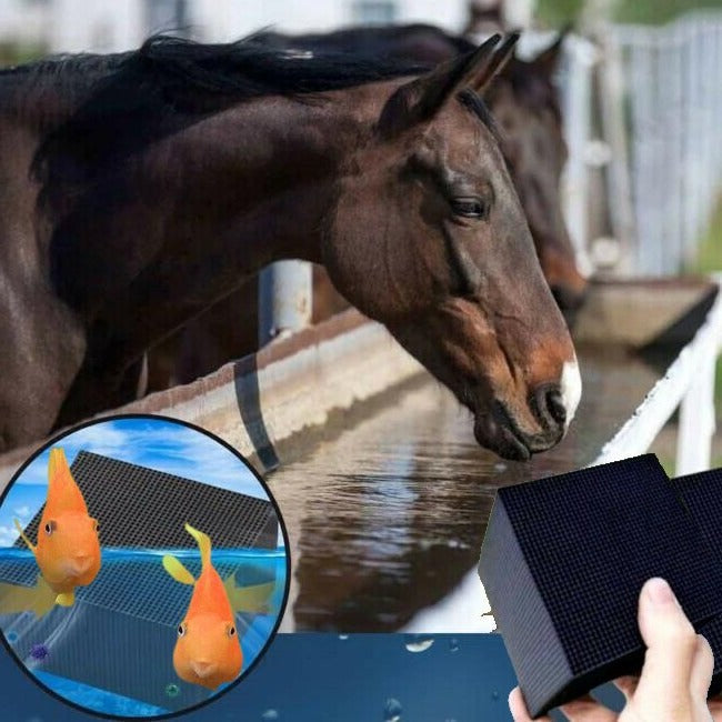 مكعب لتنقية المياه للحيوانات - ماء نقي وصحي يوميًا 